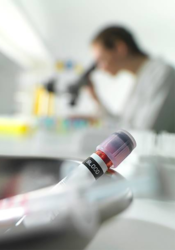 Paneles Inmunológicos y Antigénicos – Laboratorio San Andrés